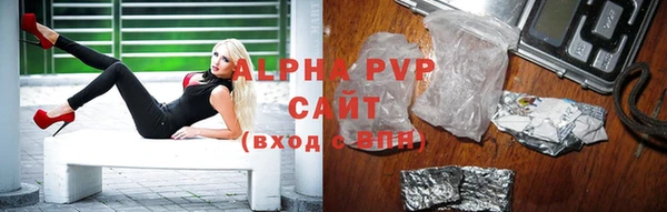 spice Болотное