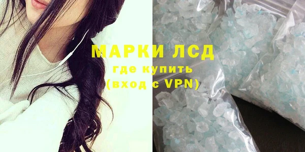 spice Болотное