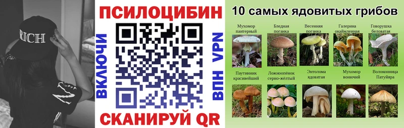 Галлюциногенные грибы Psilocybine cubensis  как найти закладки  МЕГА зеркало  Гай 