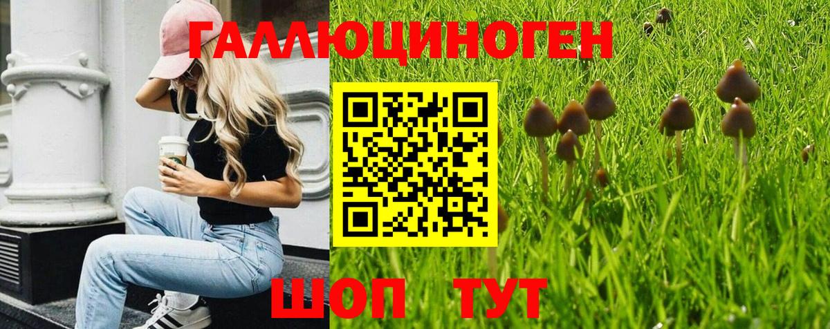 Псилоцибиновые грибы Cubensis  Вход с VPN  Псилоцибиновые грибы Cubensis  Гай 