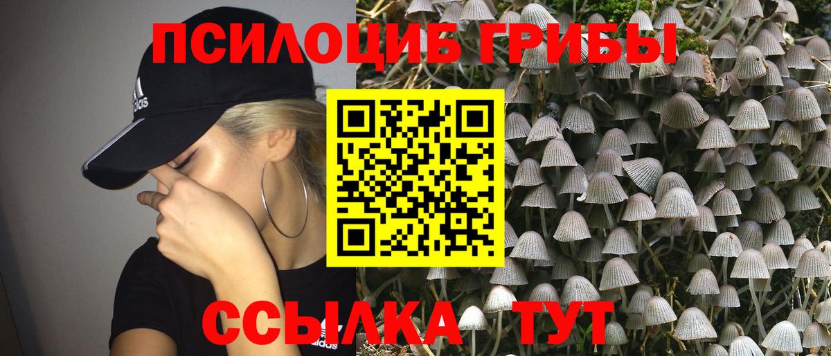 Псилоцибиновые грибы прущие грибы Гай