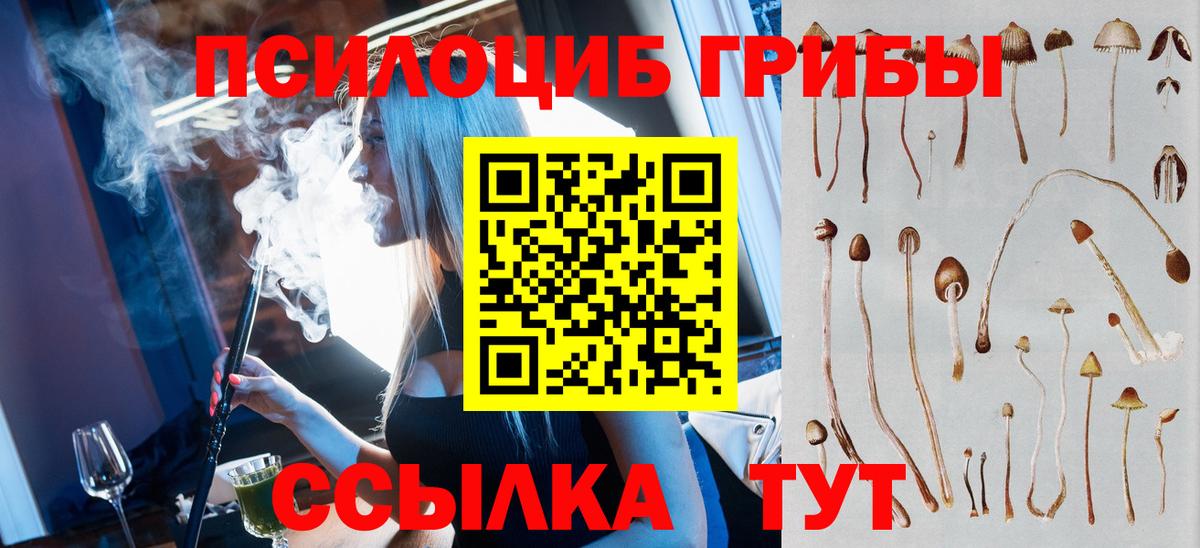 Галлюциногенные грибы GOLDEN TEACHER Гай