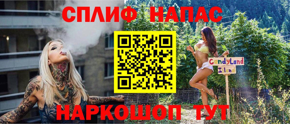 Бошки Шишки семена  Бошки марихуана план  Гай  Шишки марихуана AK-47 